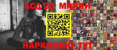 spice Кимры