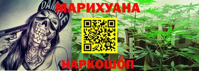 трава Кингисепп