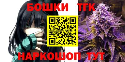 spice Кимры
