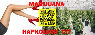 трава Кингисепп