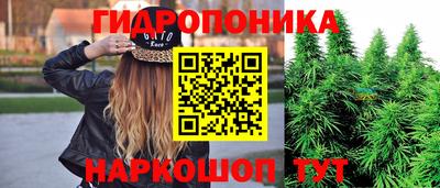 трава Кингисепп