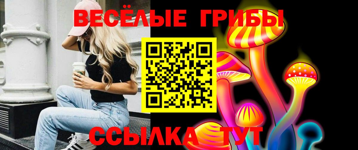 Галлюциногенные грибы Magic Shrooms  Вход с VPN  Югорск  наркошоп  Галлюциногенные грибы Cubensis 